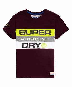 Superdry Trophy Panel Férfi Pólók MélyBordó | ZTIOB2947